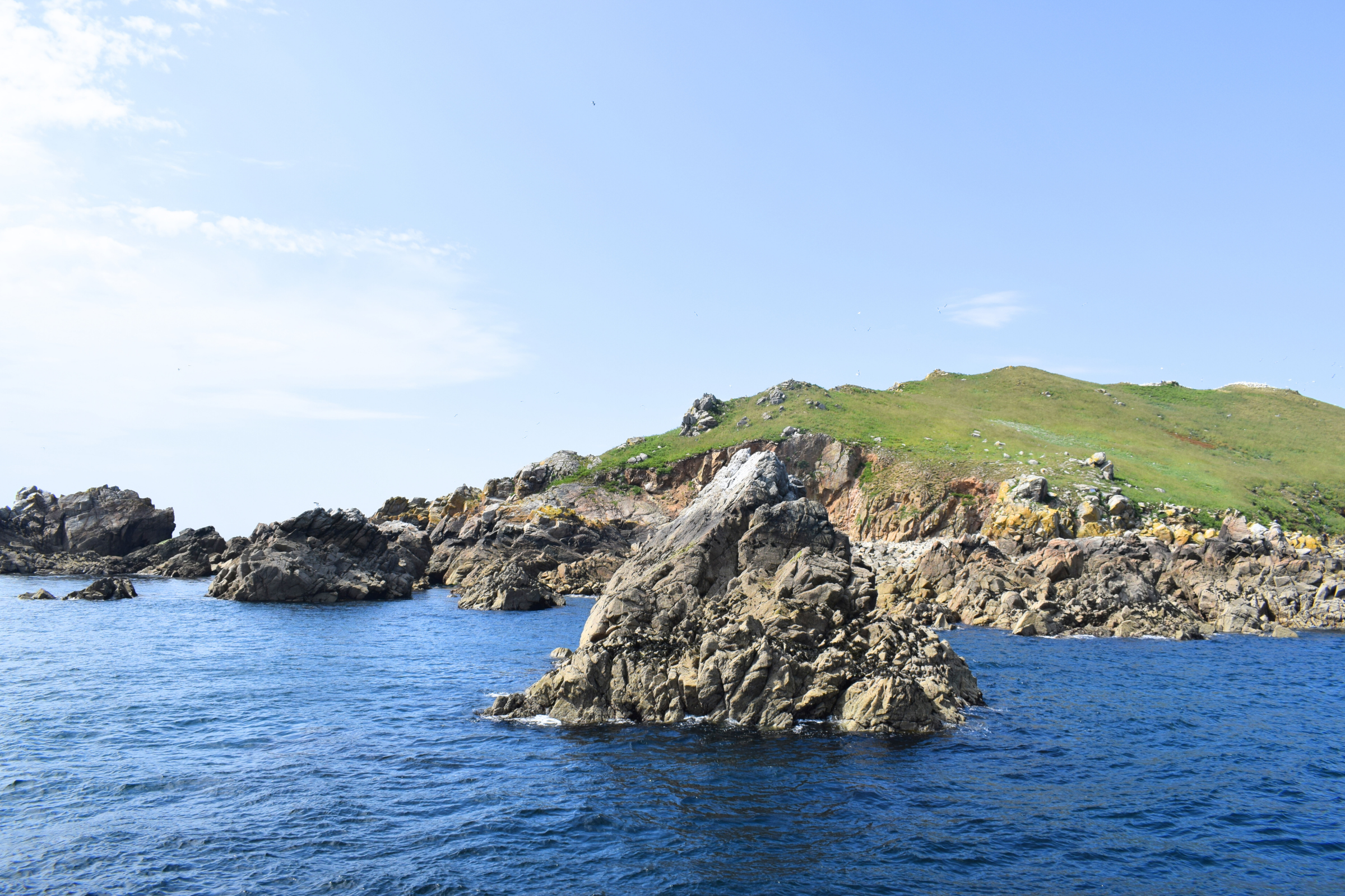 l'île-des-pins (2).webp